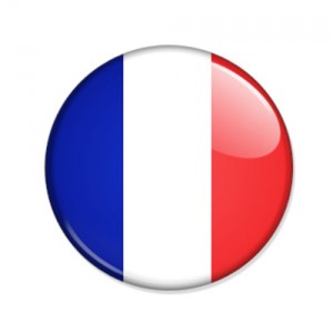 Logo drapeau france